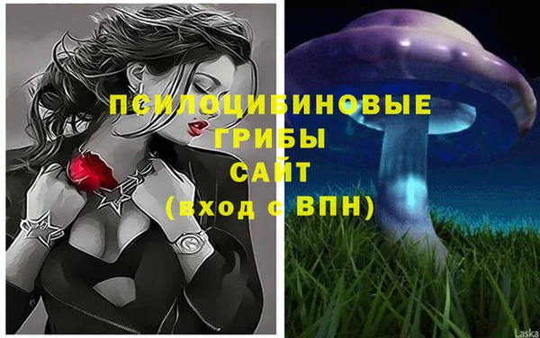 спиды Абаза