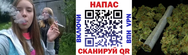 где найти наркотики  Вытегра  Бошки марихуана OG Kush 